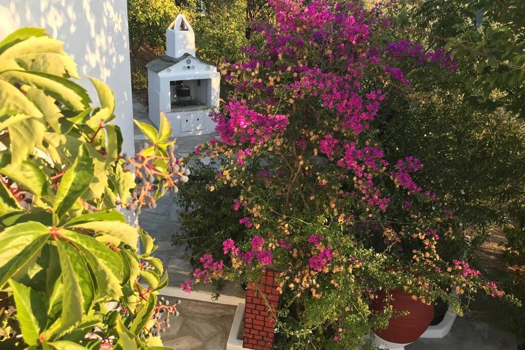 Παναής & Μαρία / Panais & Maria Villa Skopelos Town Exterior photo