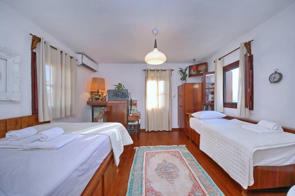Παναής & Μαρία / Panais & Maria Villa Skopelos Town Exterior photo